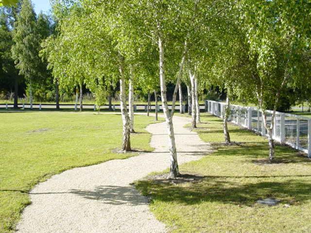Hanmer Springs Forest Camp Trust Buitenkant foto